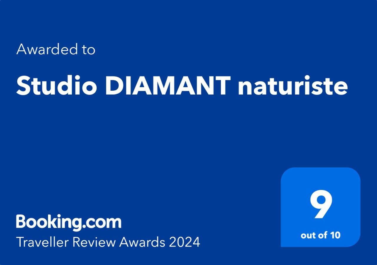 Studio Diamant Naturiste แอกด์ ภายนอก รูปภาพ